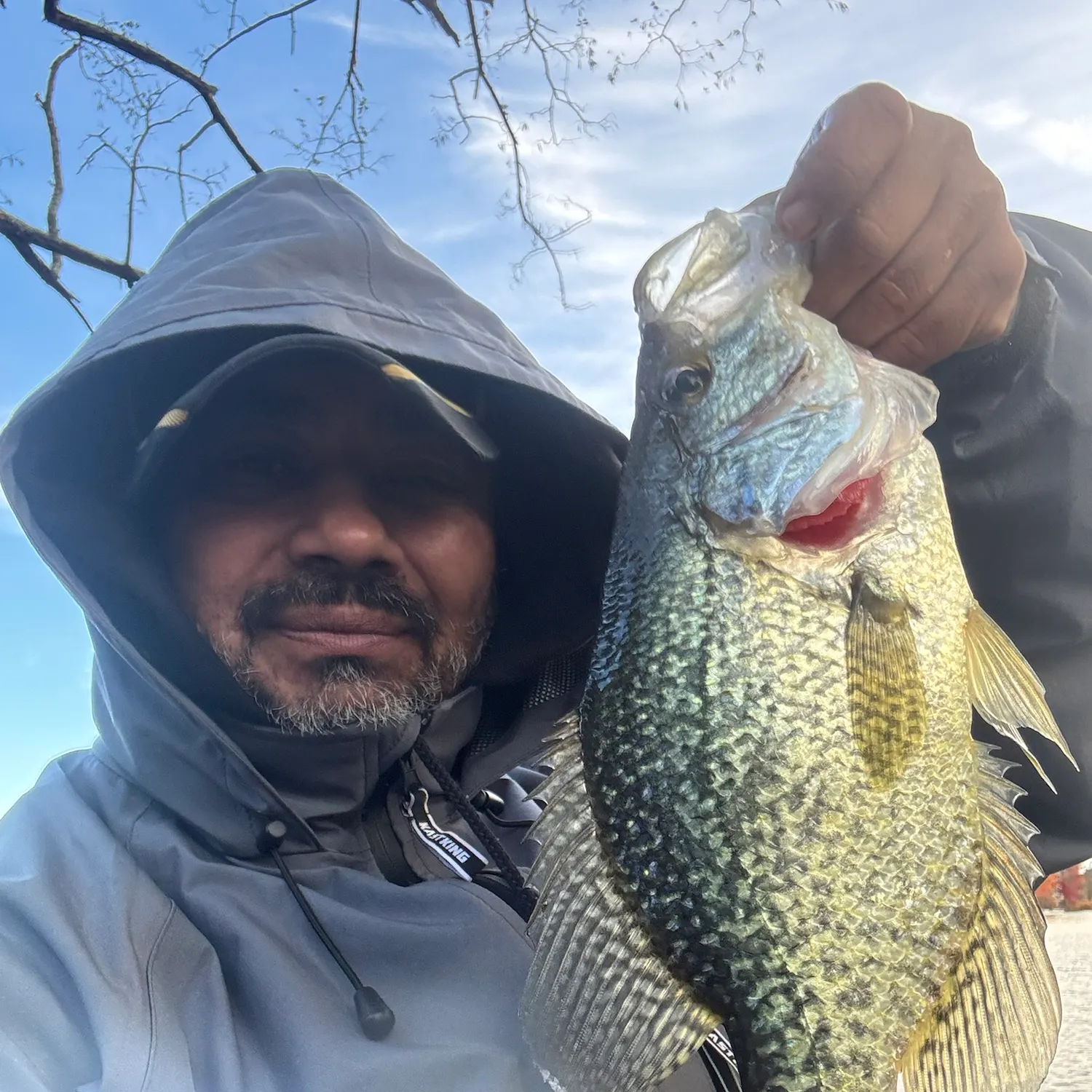 Black crappie caught on Fishbrain