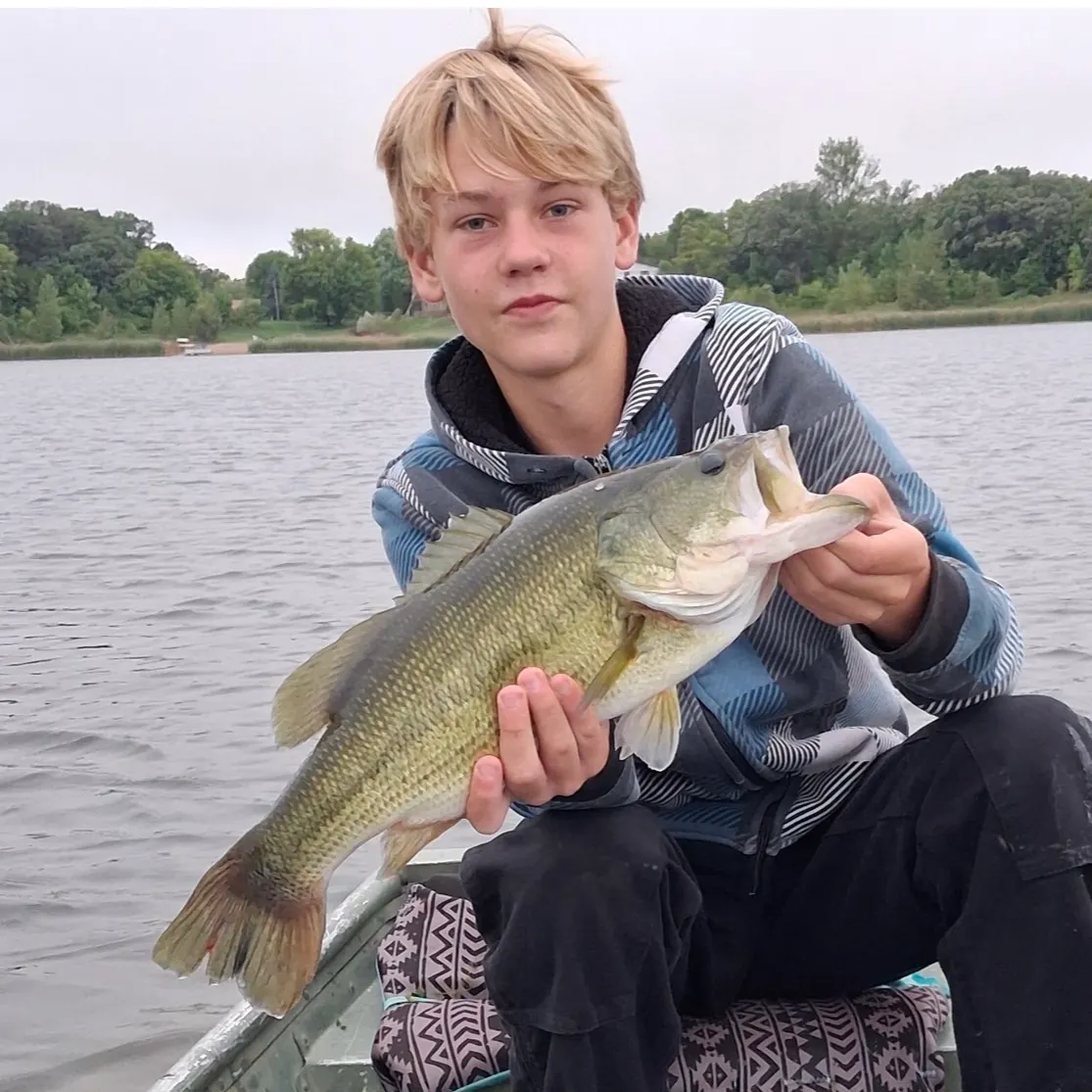 Largemouth bass caught on Fishbrain
