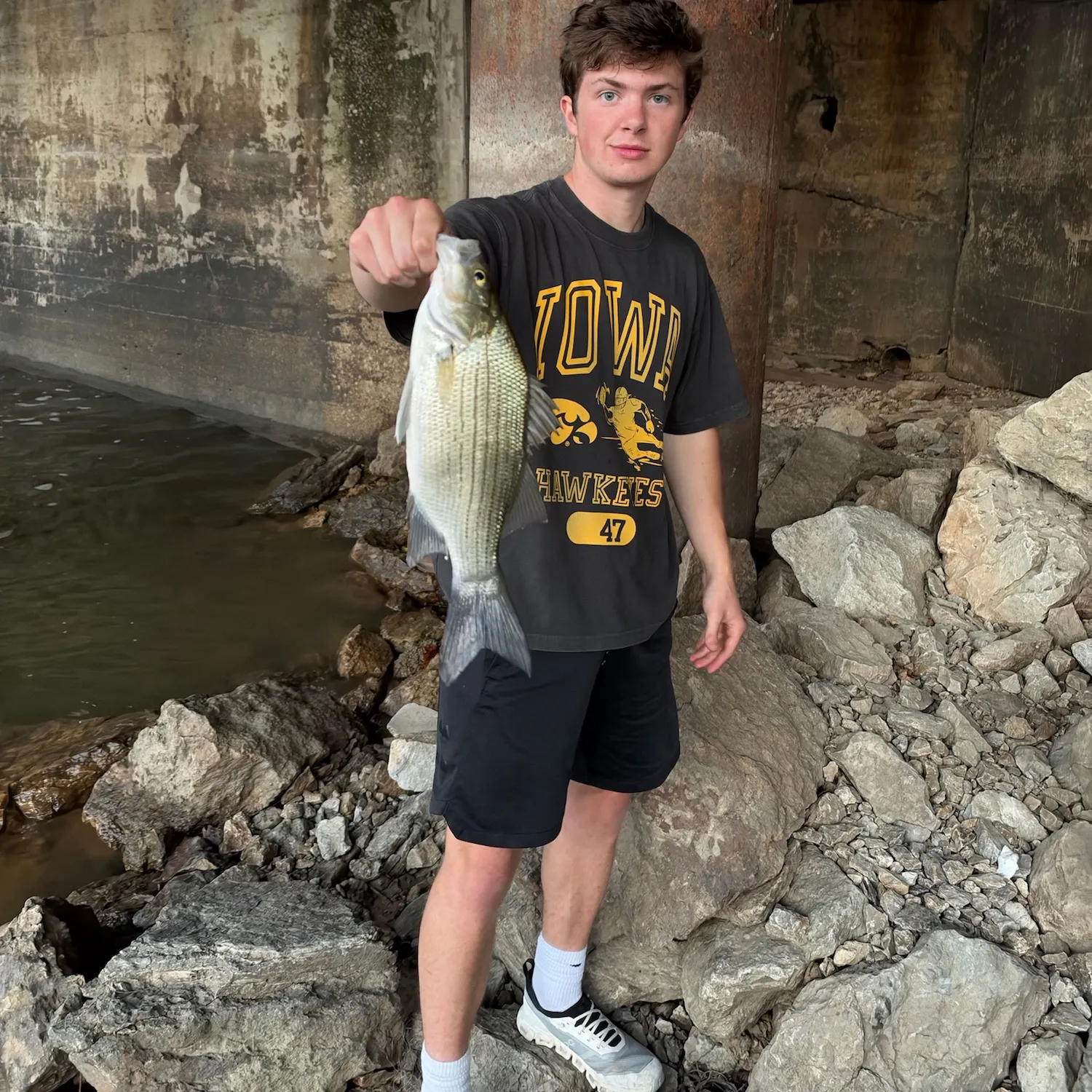 Wiper caught on Fishbrain