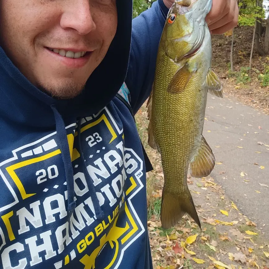 Smallmouth bass caught on Fishbrain