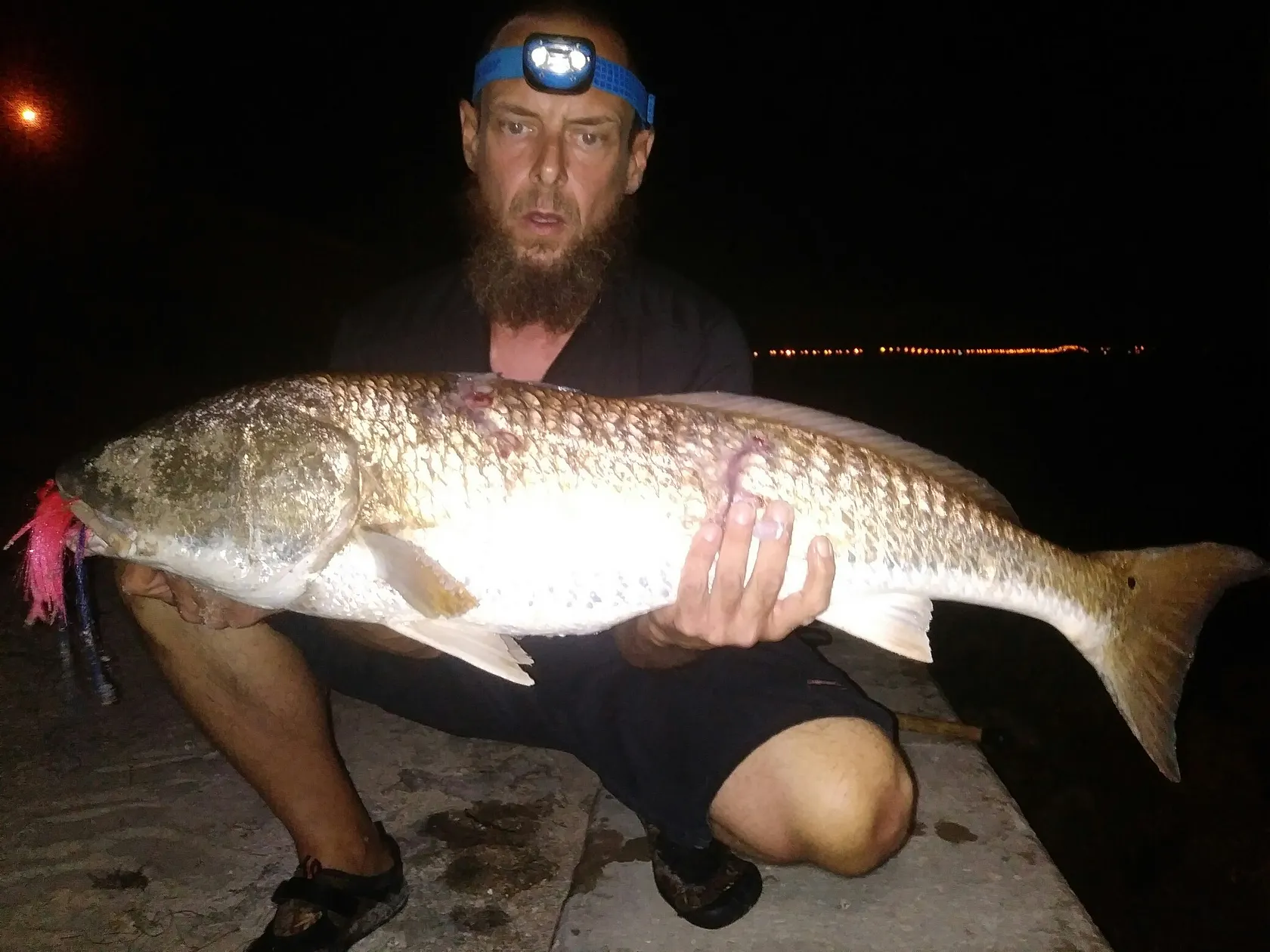 Post image from Swampchigger