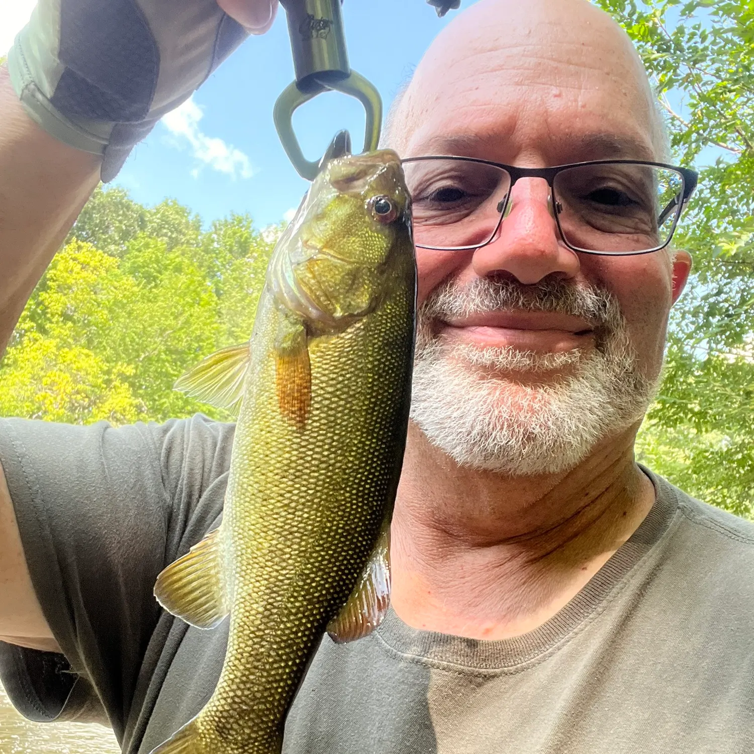 Smallmouth bass caught on Fishbrain