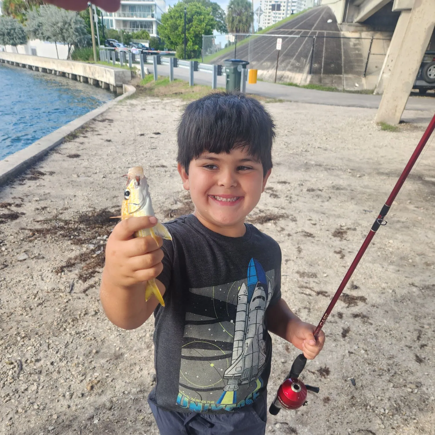 The most recent Oriental sweetlips catches on Fishbrain