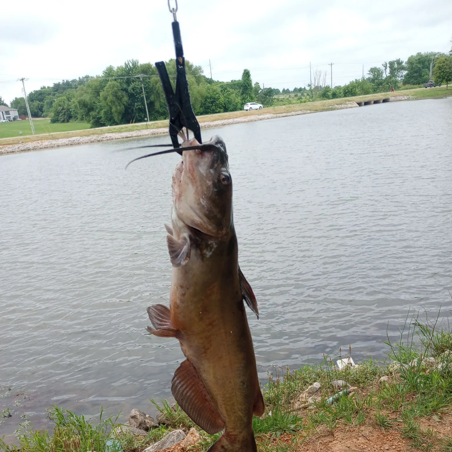 catch