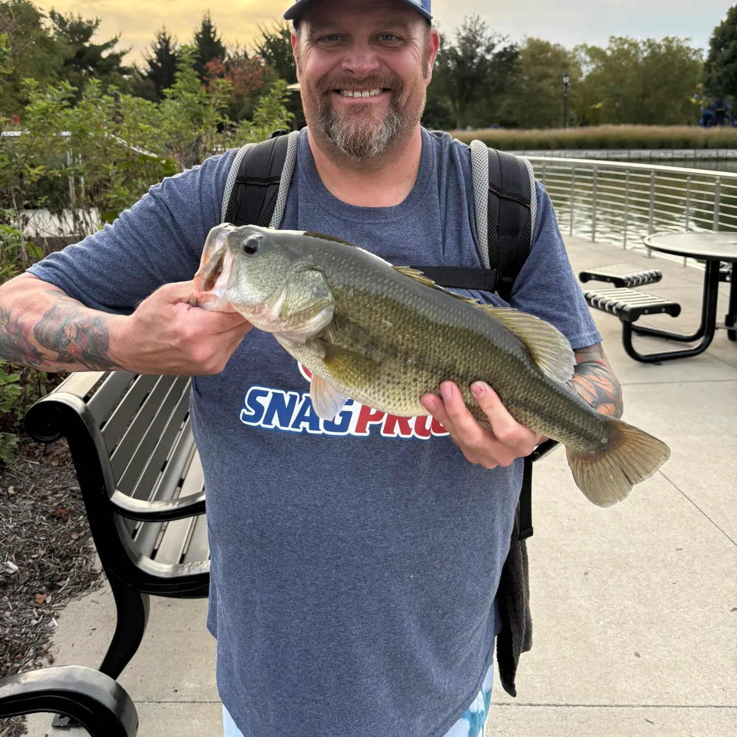 Largemouth bass caught on Fishbrain