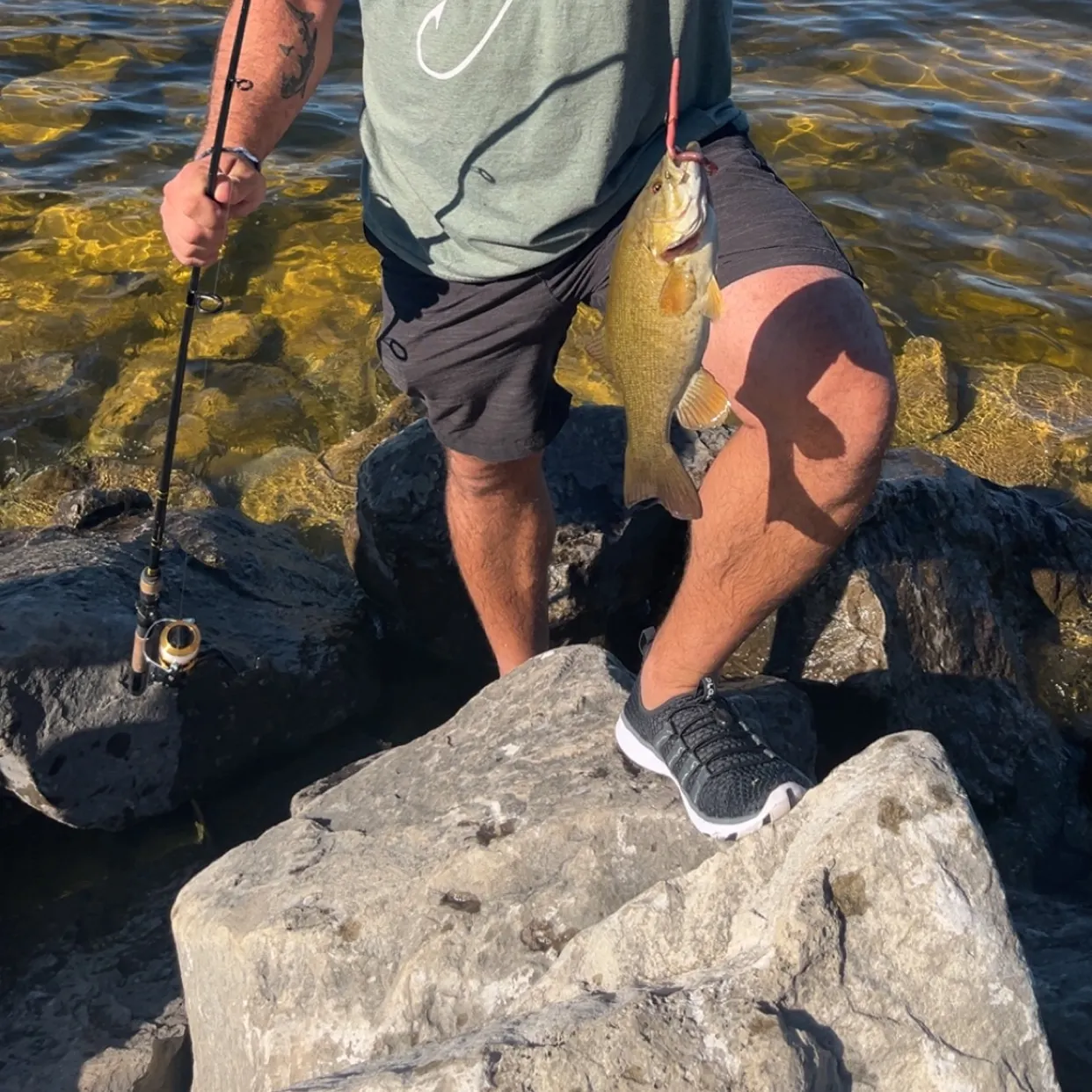 Smallmouth bass caught on Fishbrain