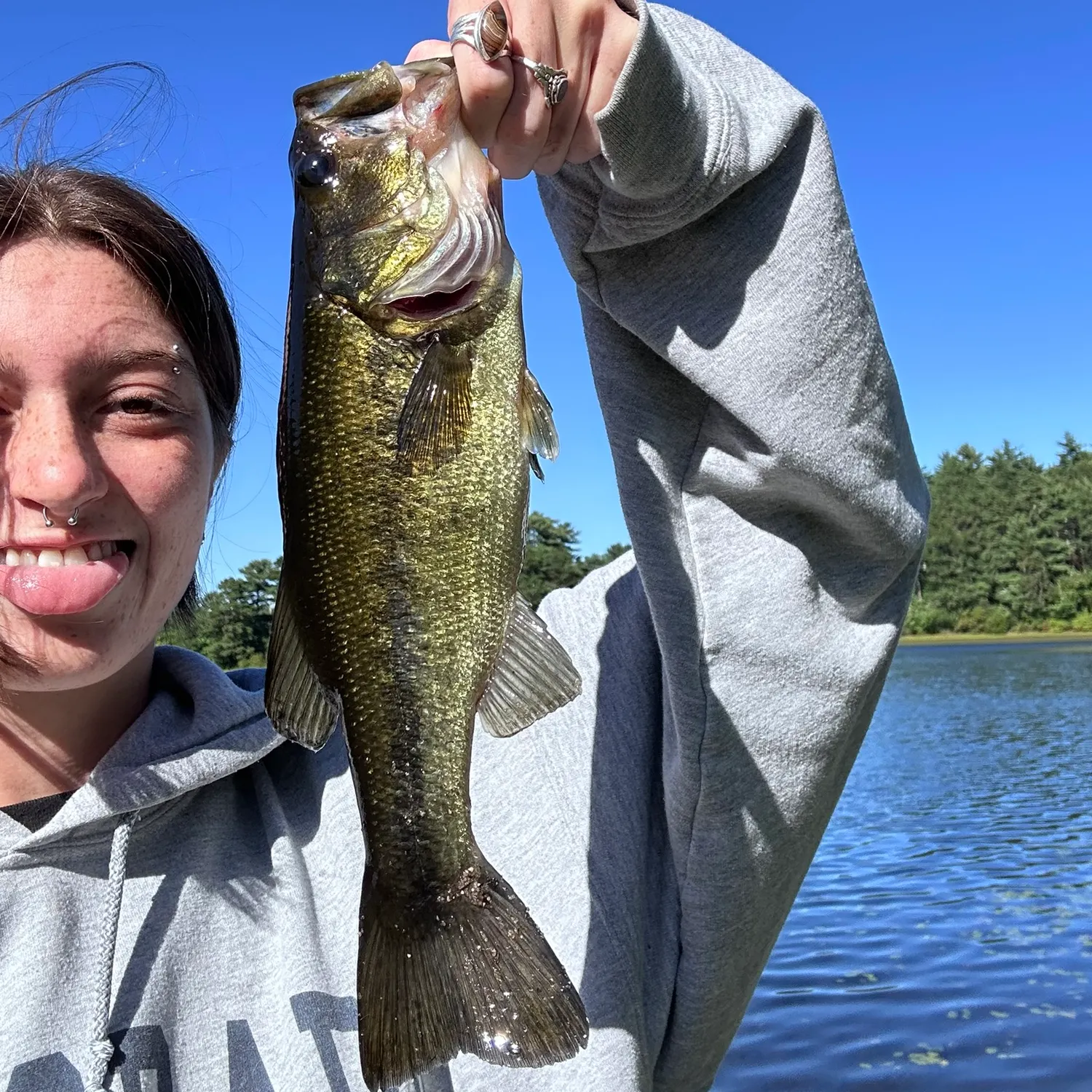 Largemouth bass caught on Fishbrain