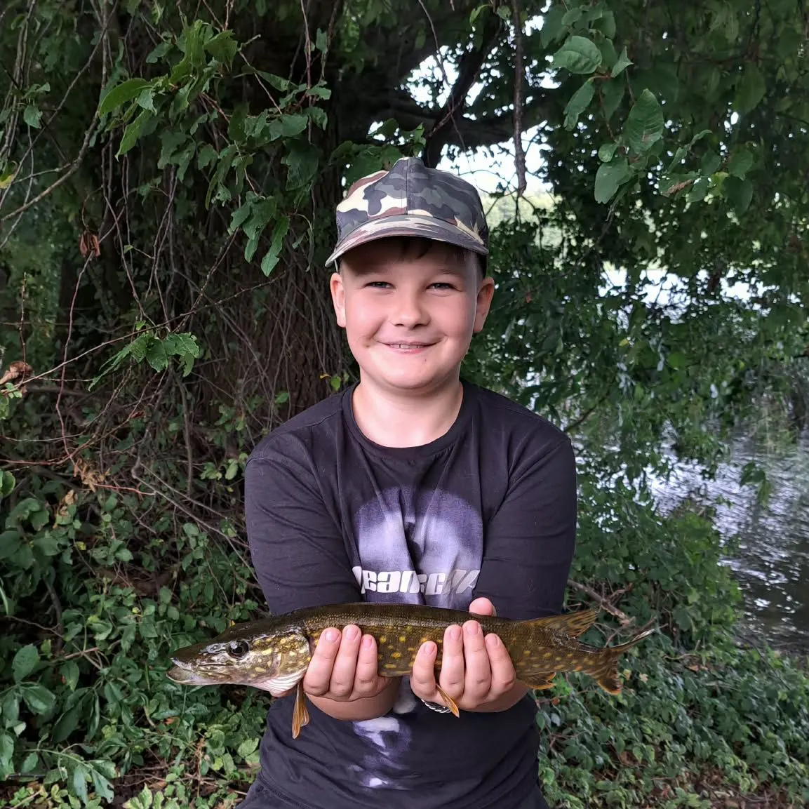 Northern pike caught on Fishbrain