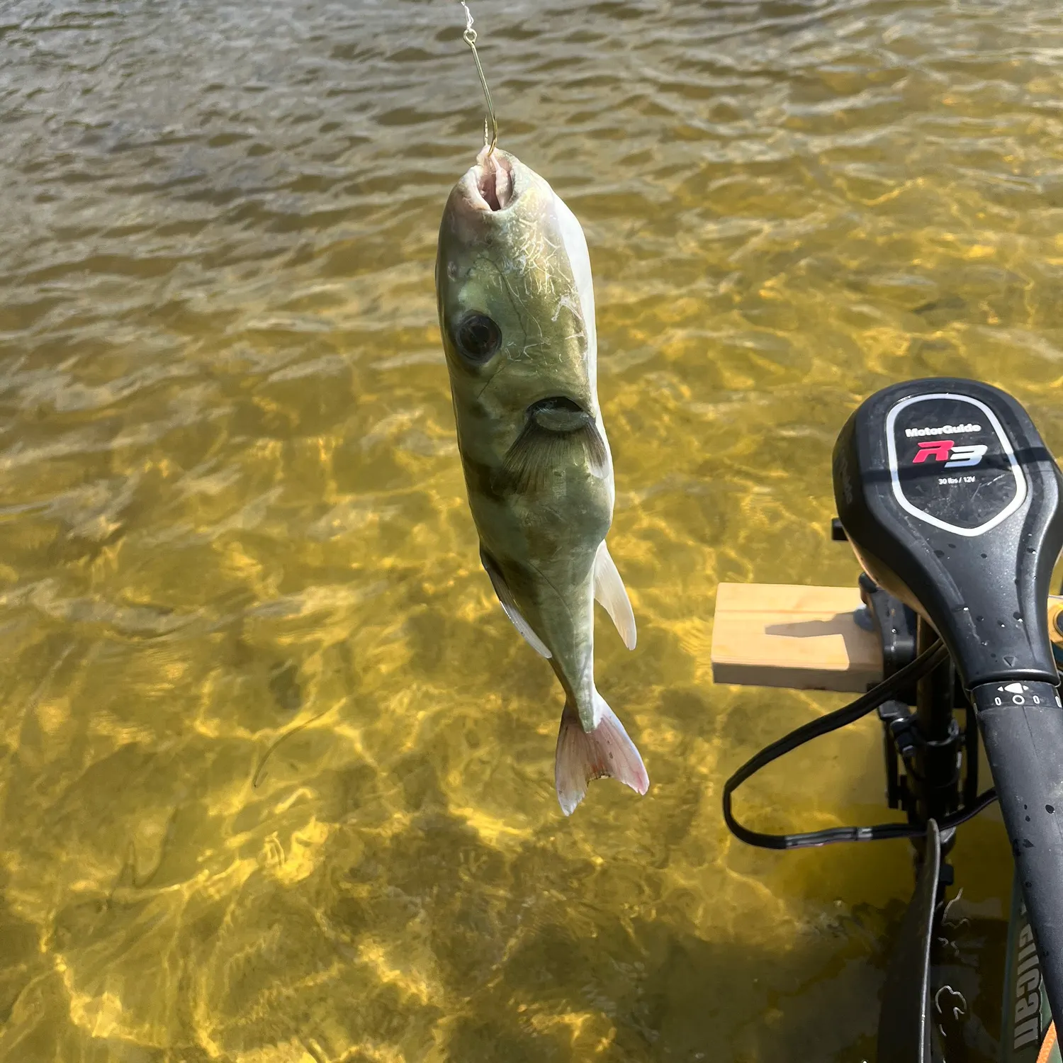 most liked catch image