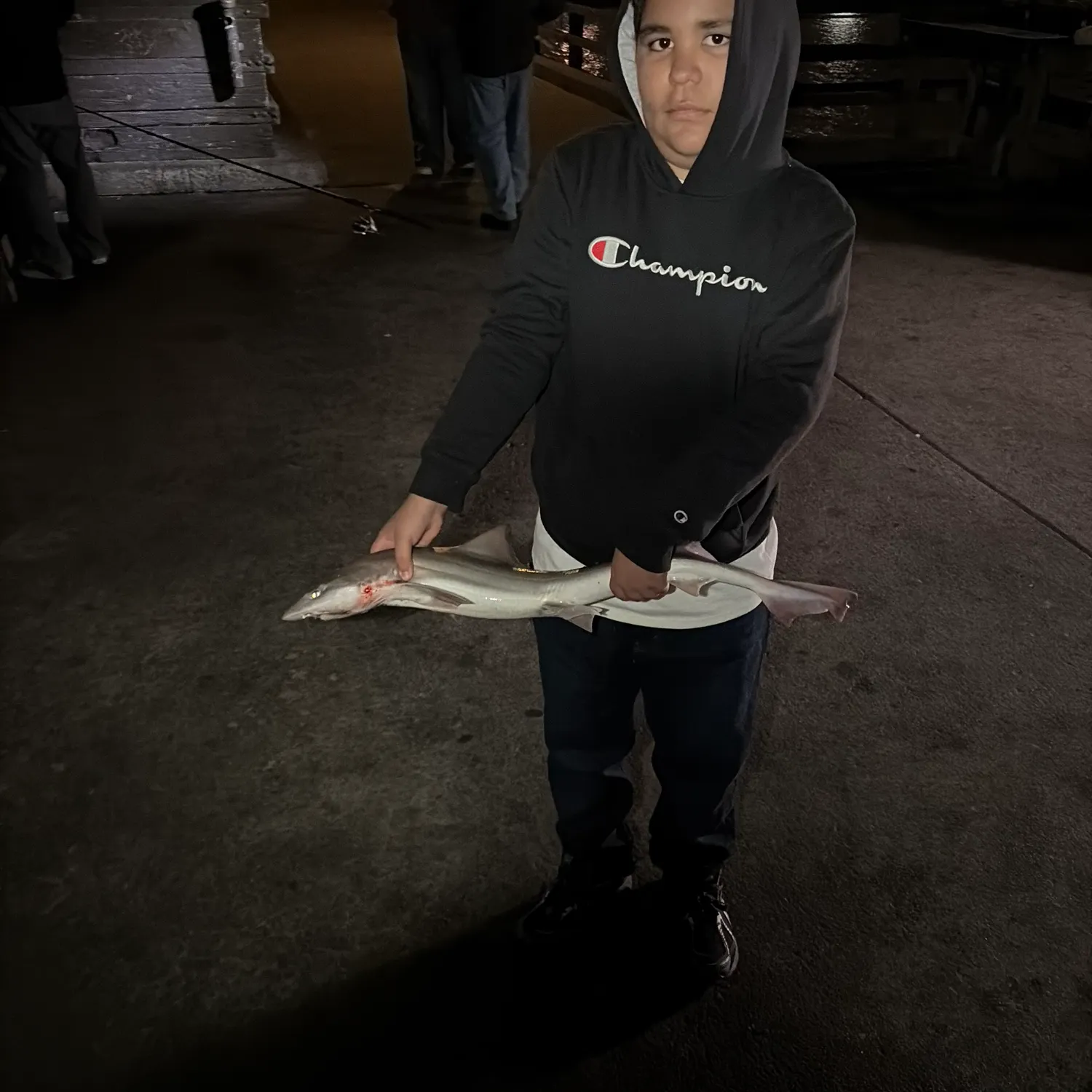 The most recent Grey smooth-hound catches on Fishbrain