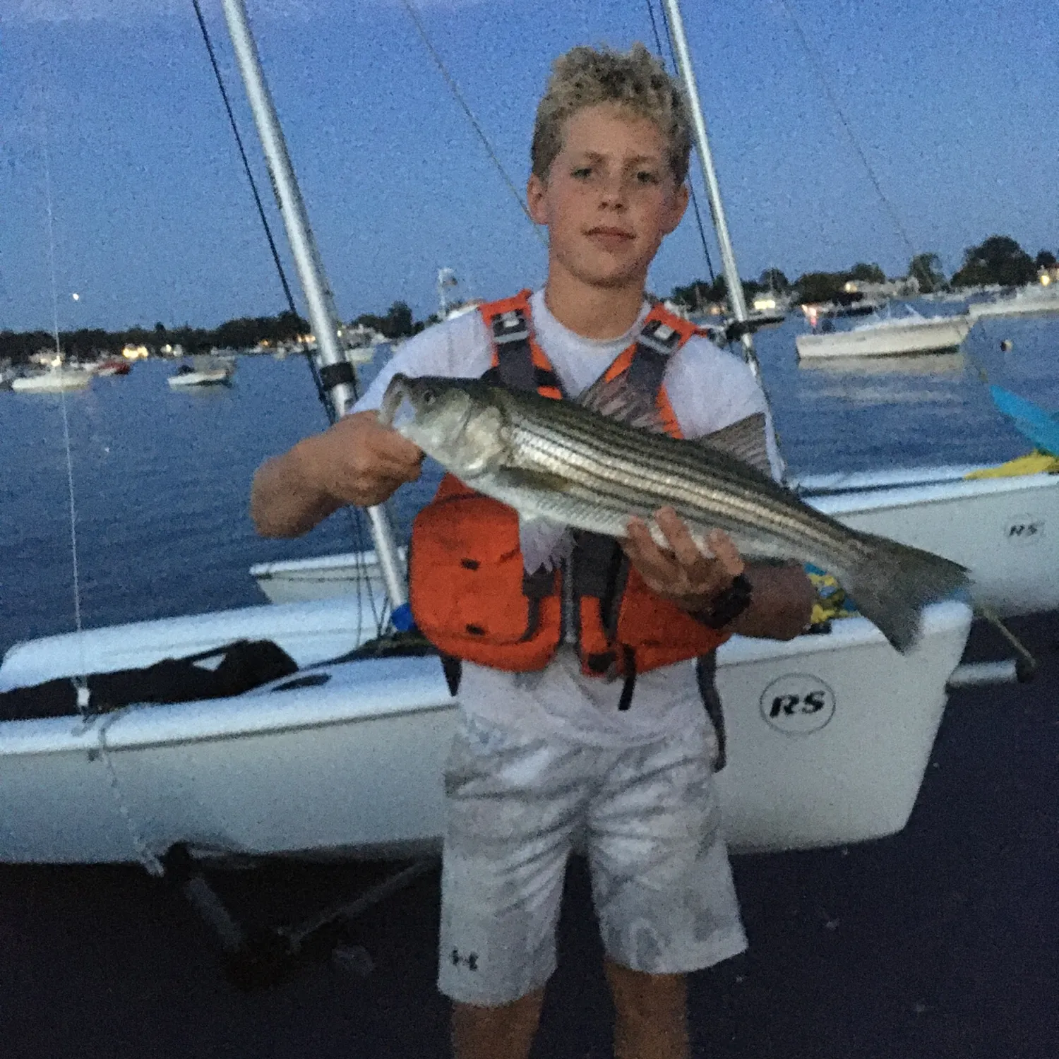 Striped bass caught on Fishbrain