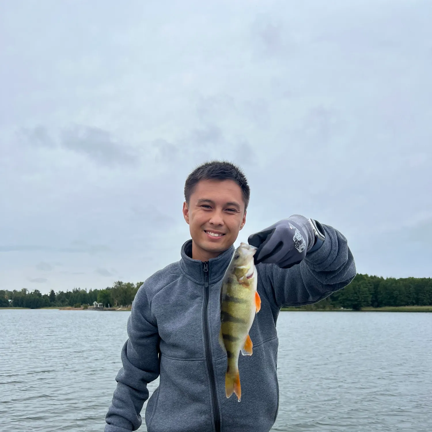 European perch caught on Fishbrain