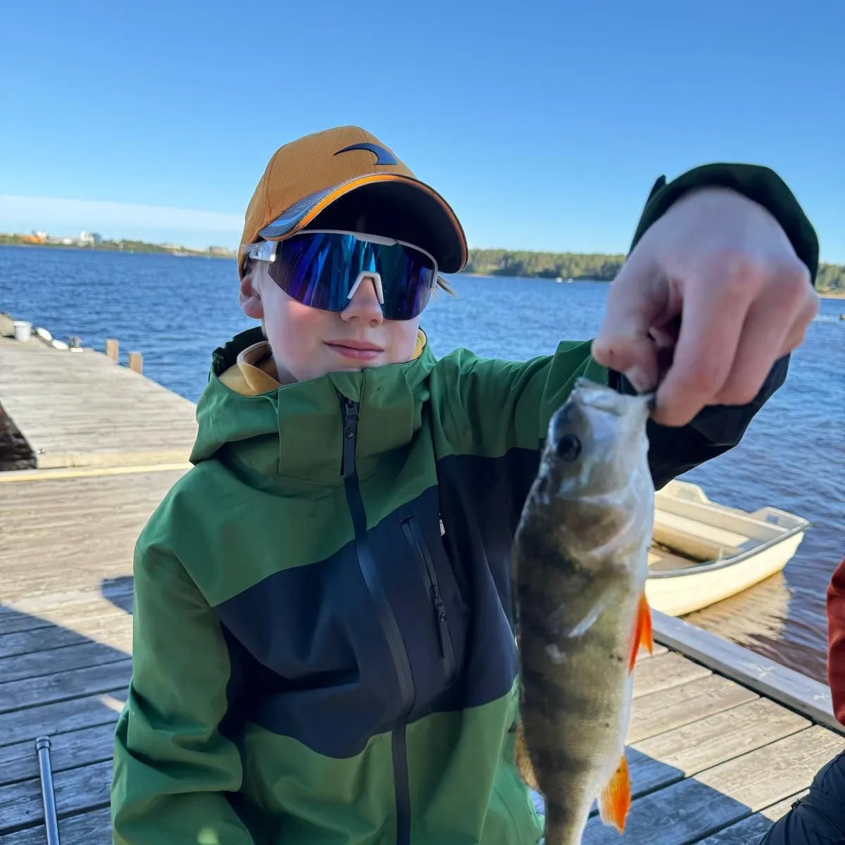 European perch caught on Fishbrain