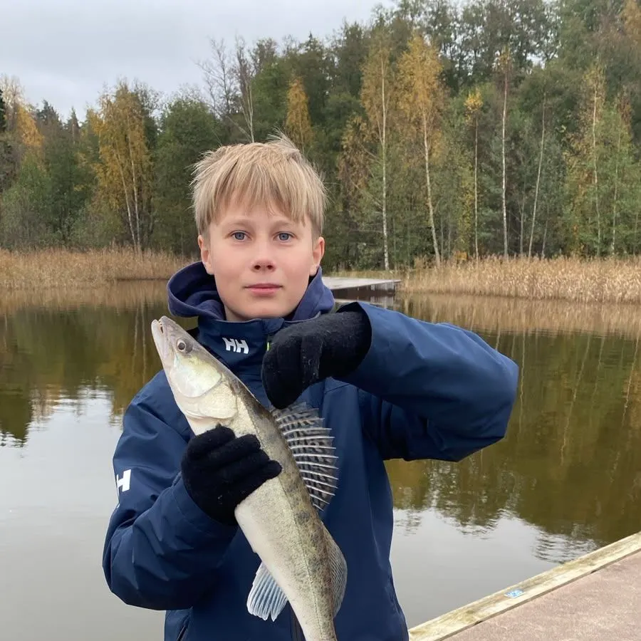 Zander caught on Fishbrain