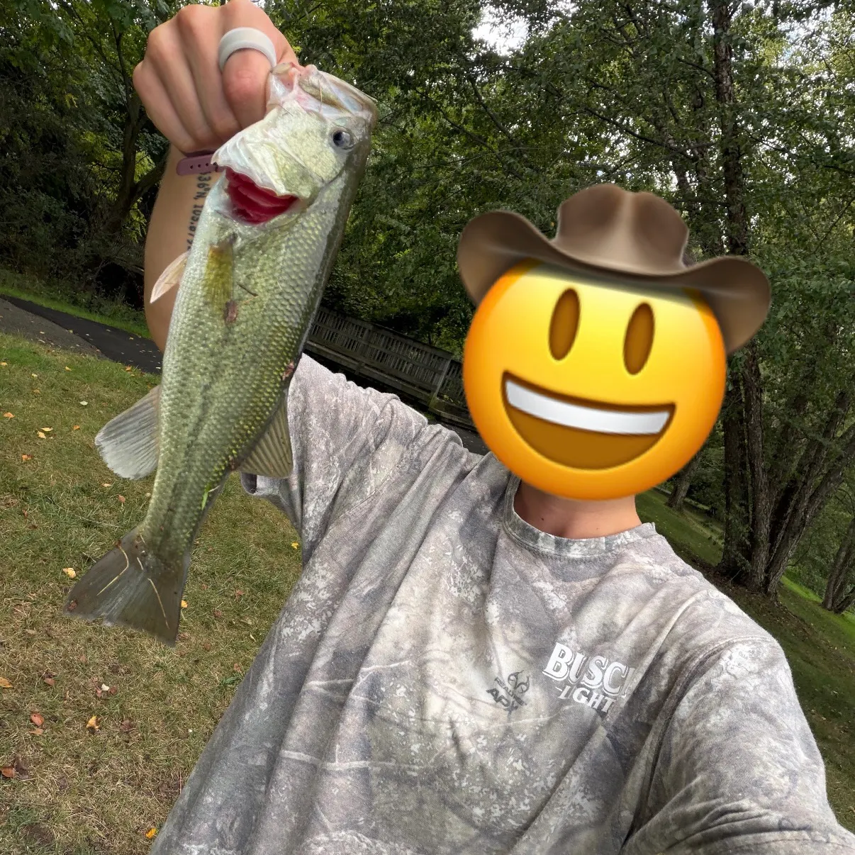 Largemouth bass caught on Fishbrain