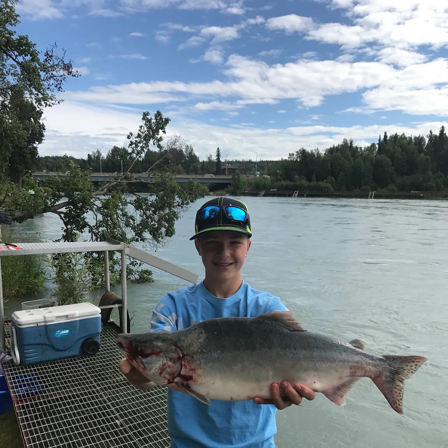 The most recent Pink salmon catches on Fishbrain