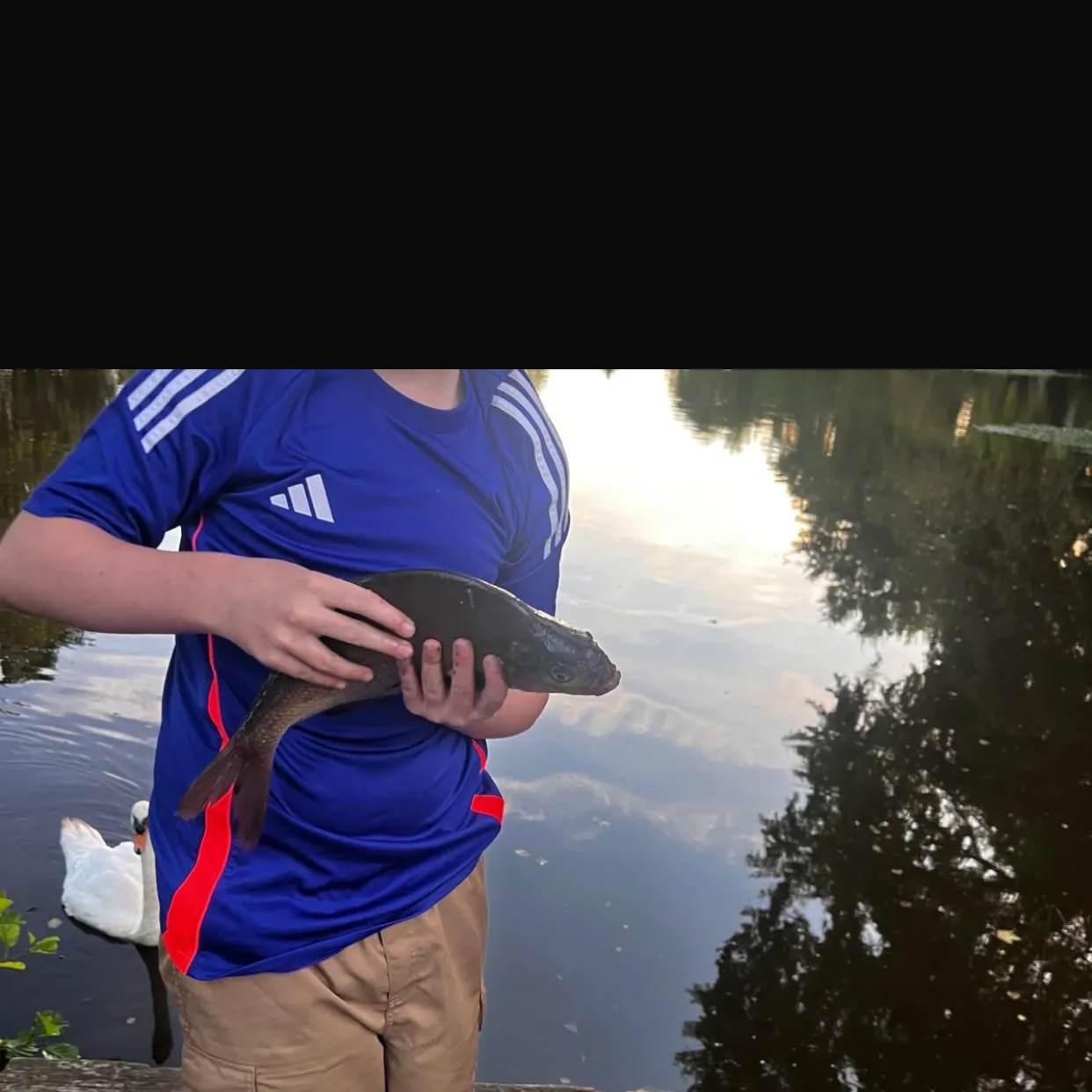 The most recent Common bream catches on Fishbrain