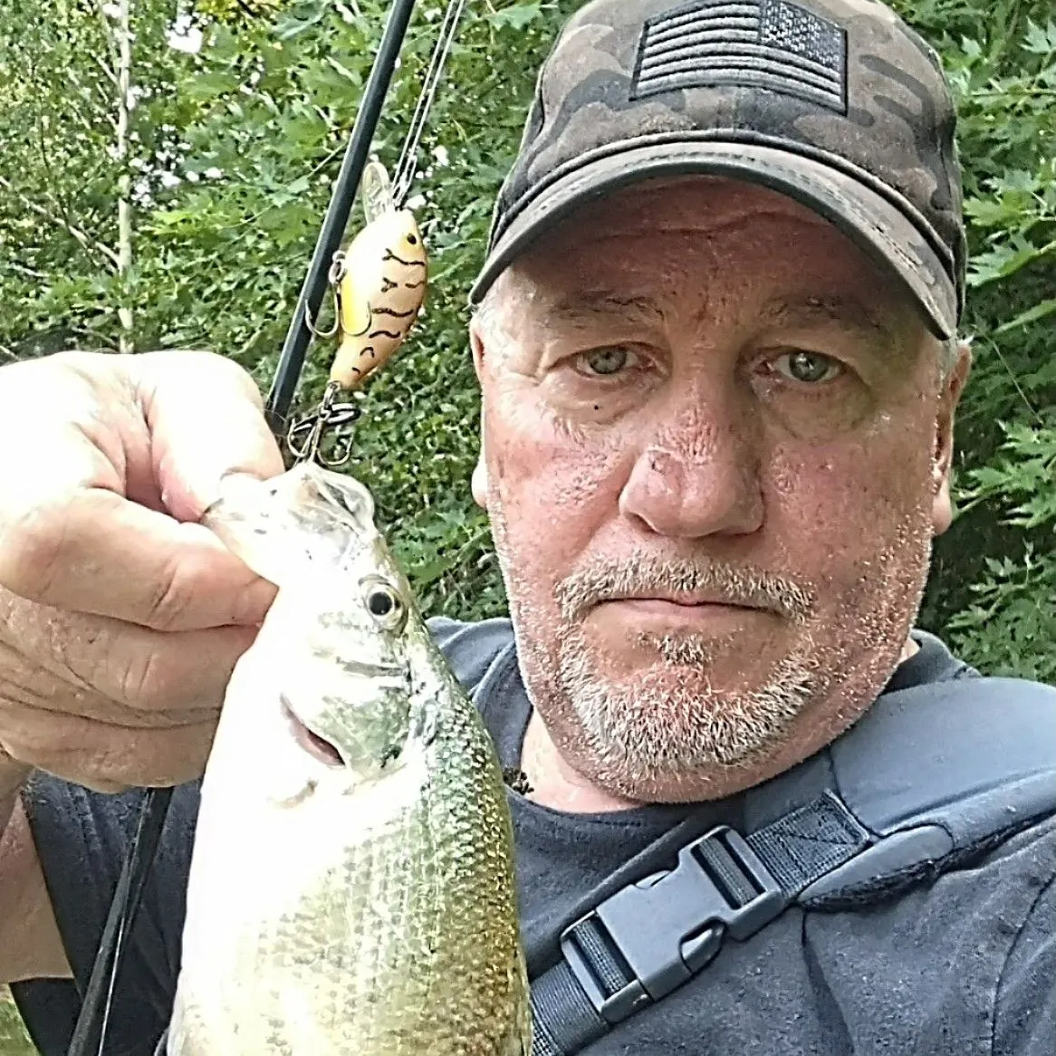 White crappie caught on Fishbrain