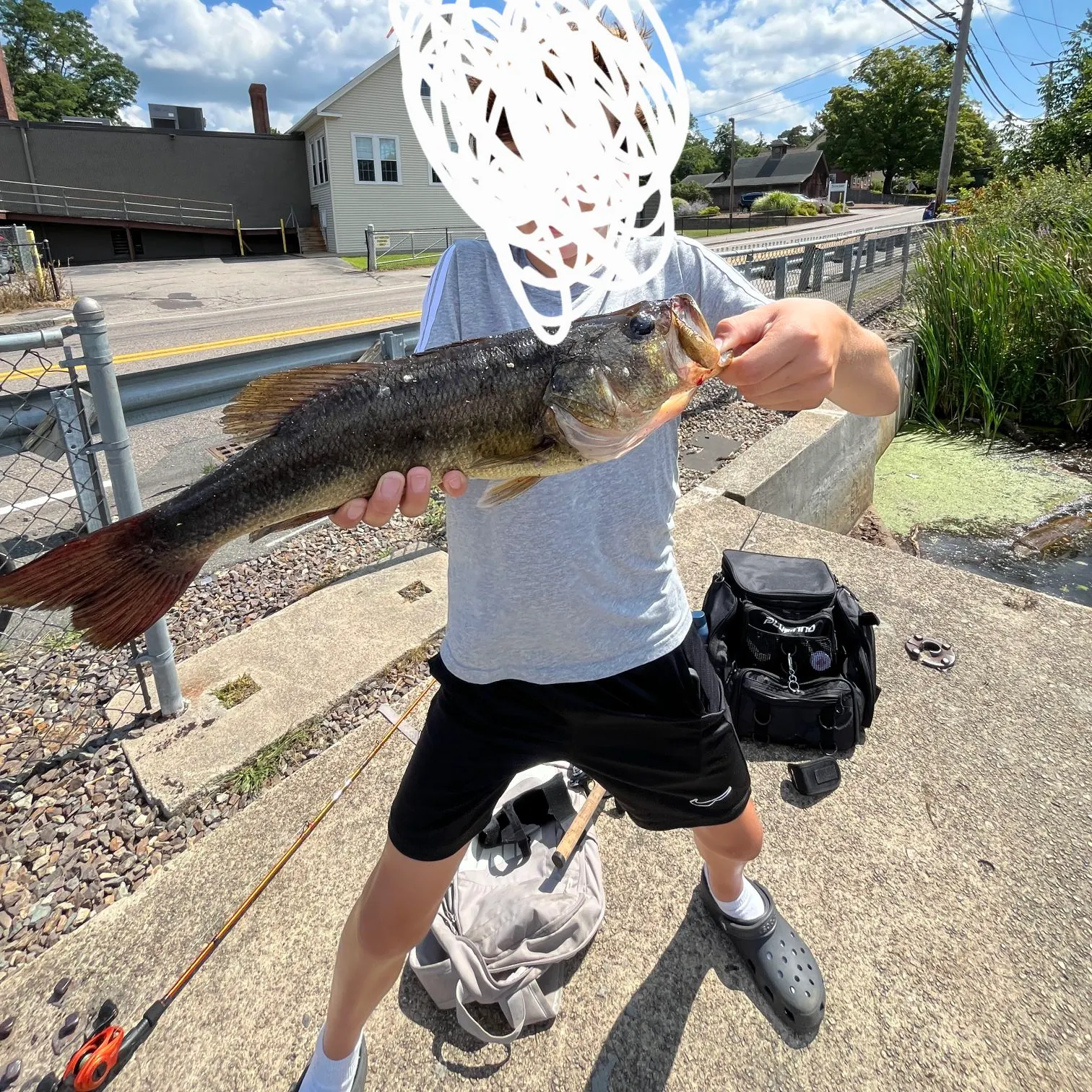 Largemouth bass caught on Fishbrain