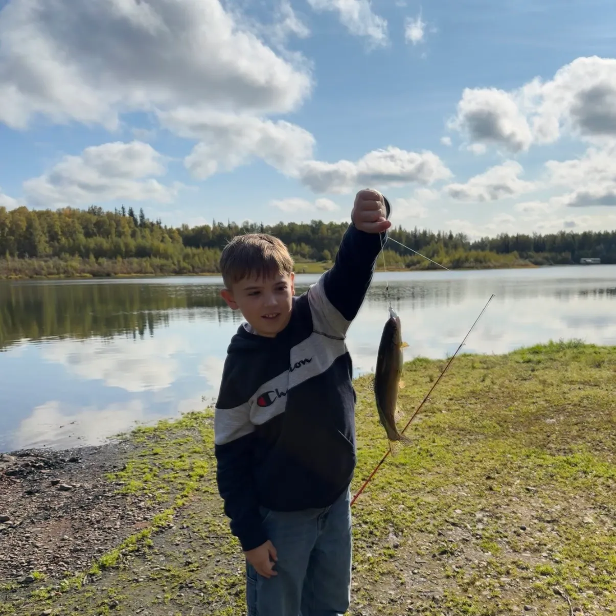 Rainbow trout caught on Fishbrain
