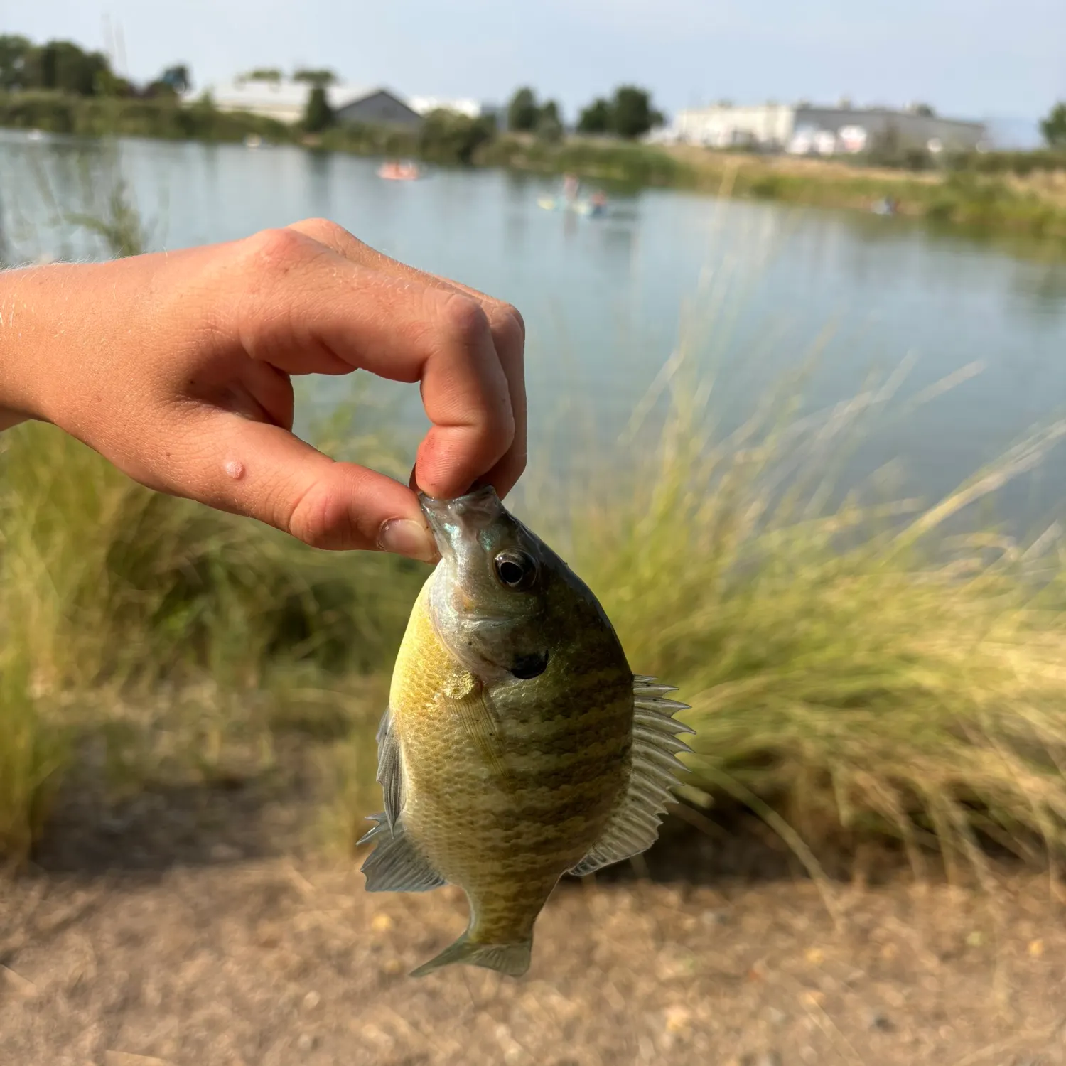 catch