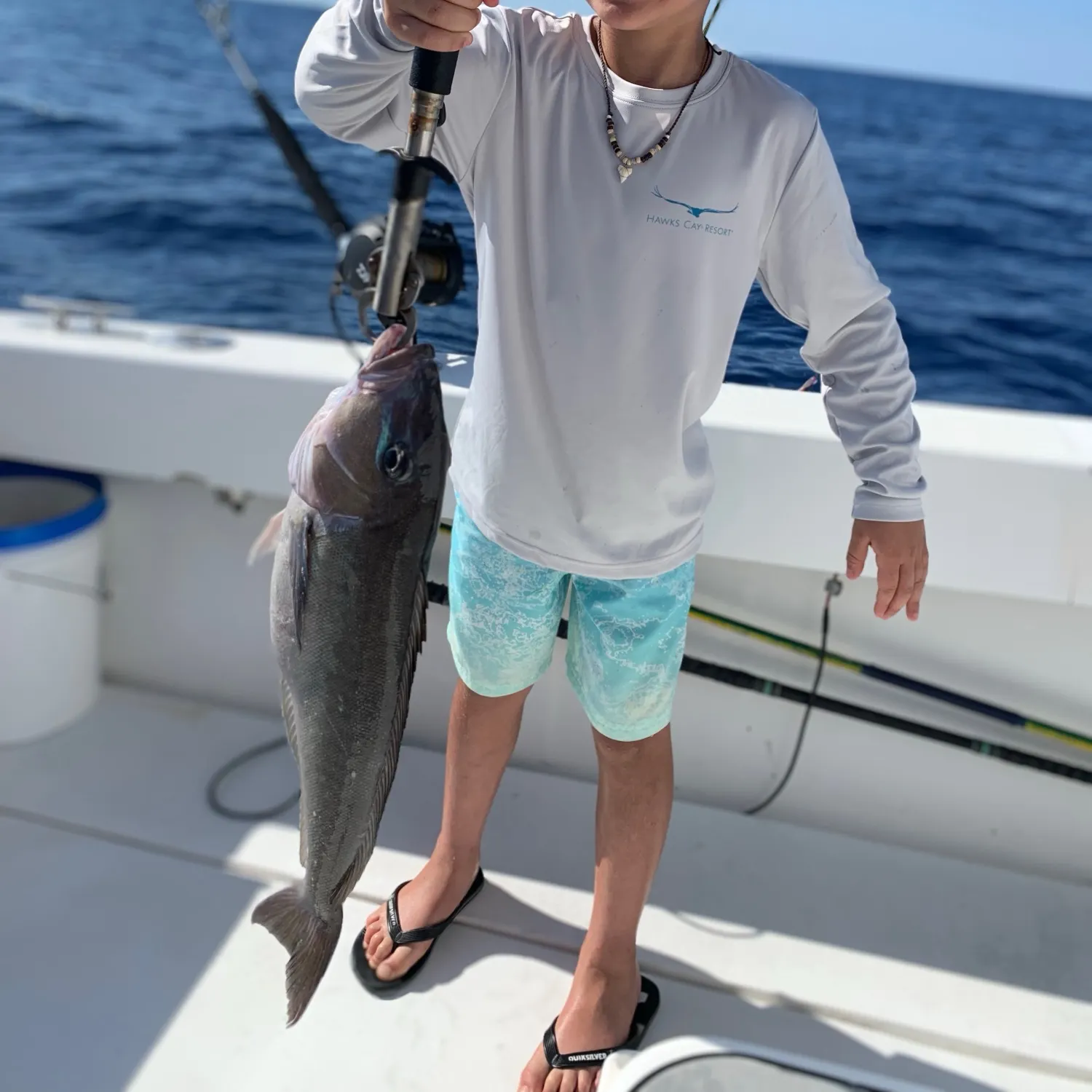 The most recent Grey tilefish catches on Fishbrain