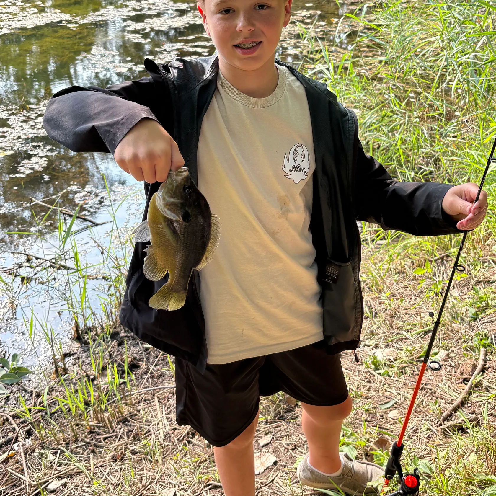Bluegill caught on Fishbrain