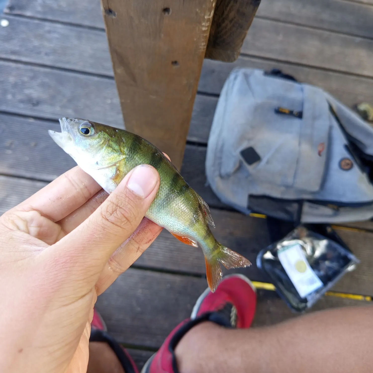 catch