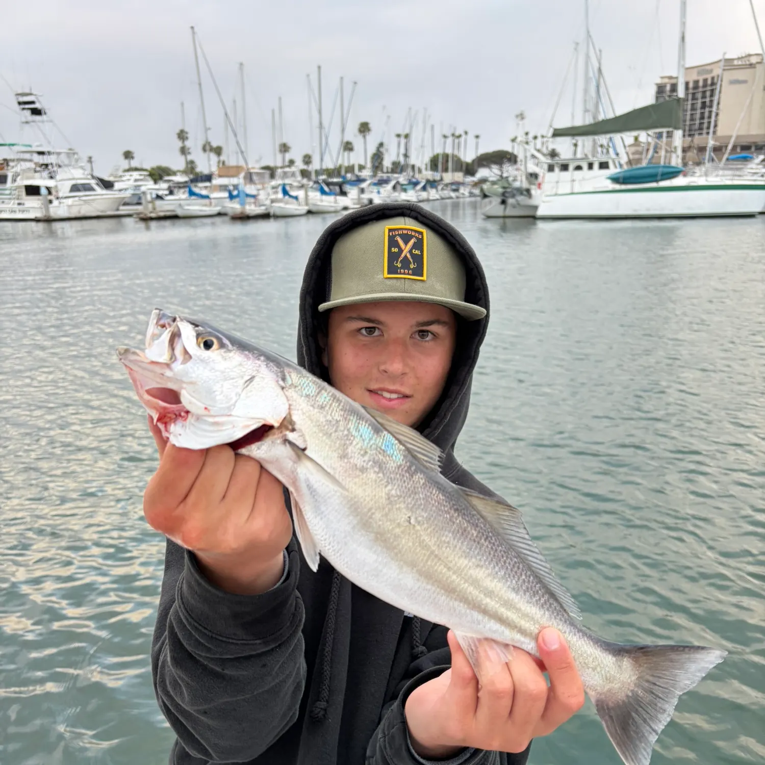 The most recent Orangemouth weakfish catches on Fishbrain