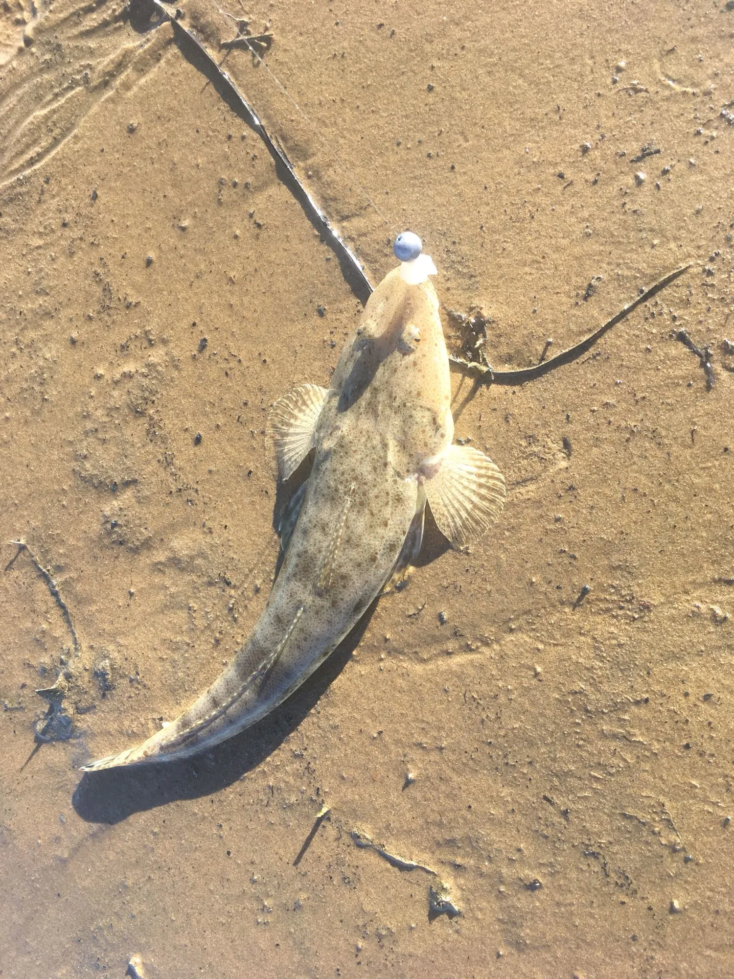 Post image from twebber7903