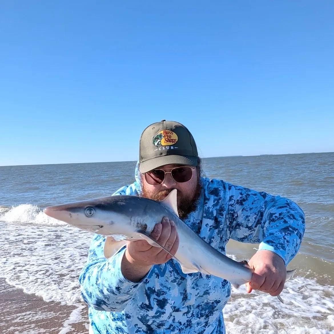 The most recent Atlantic sharpnose shark catches on Fishbrain