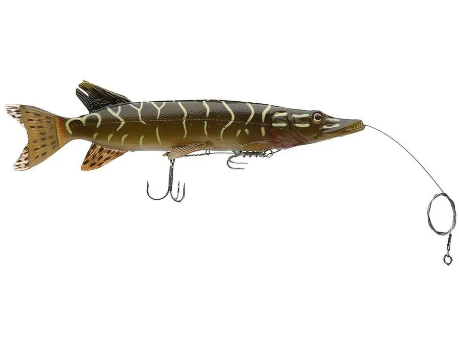 3D Line Through Pike
