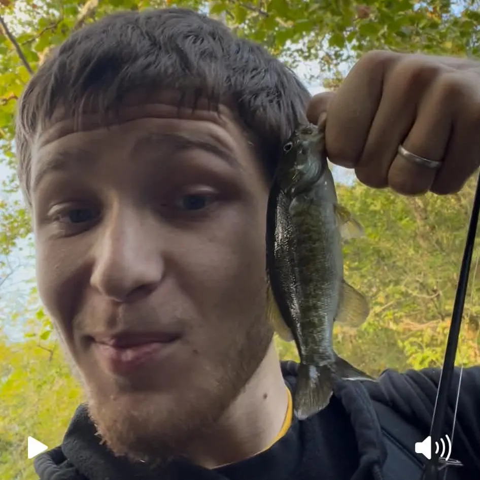 Smallmouth bass caught on Fishbrain