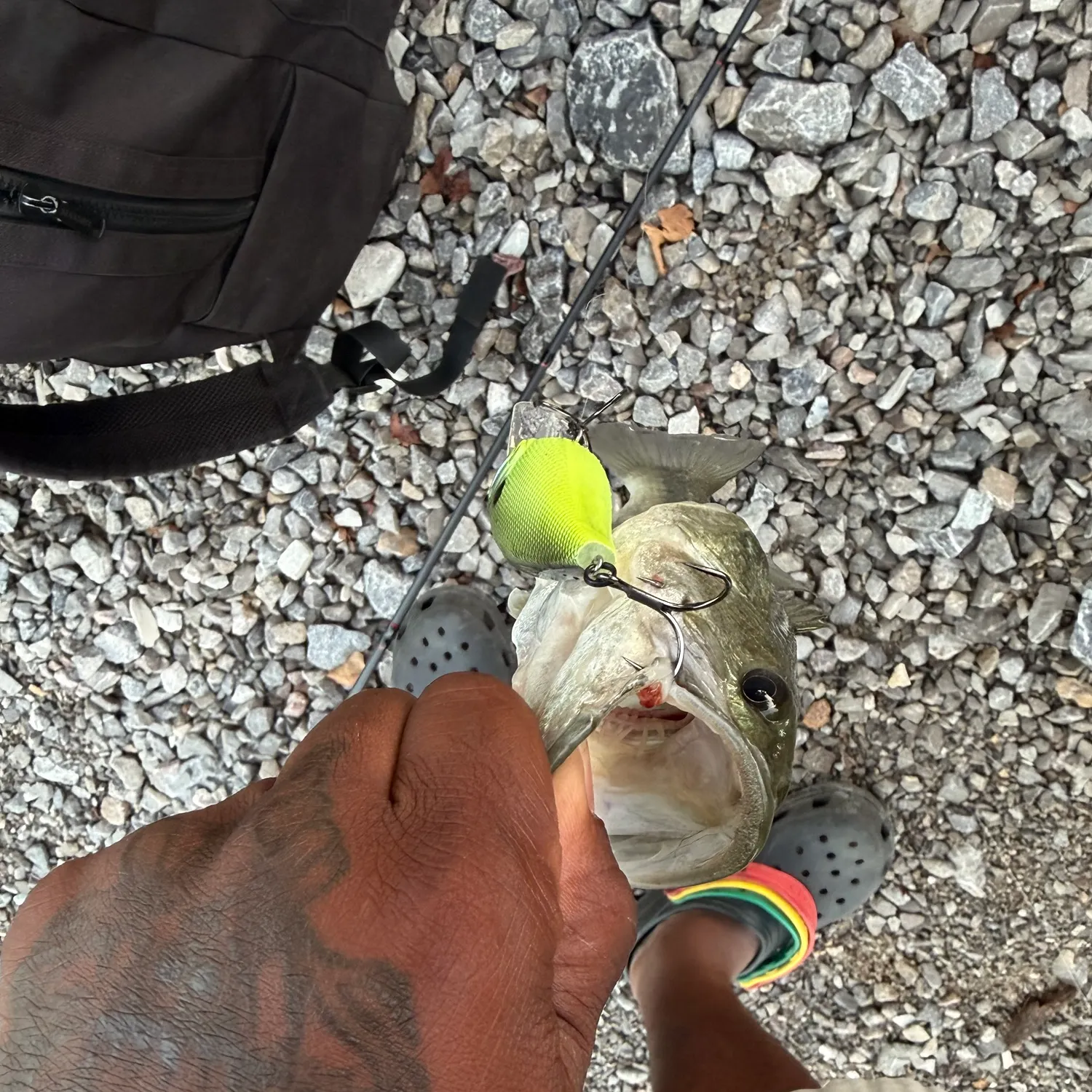 Largemouth bass caught on Fishbrain