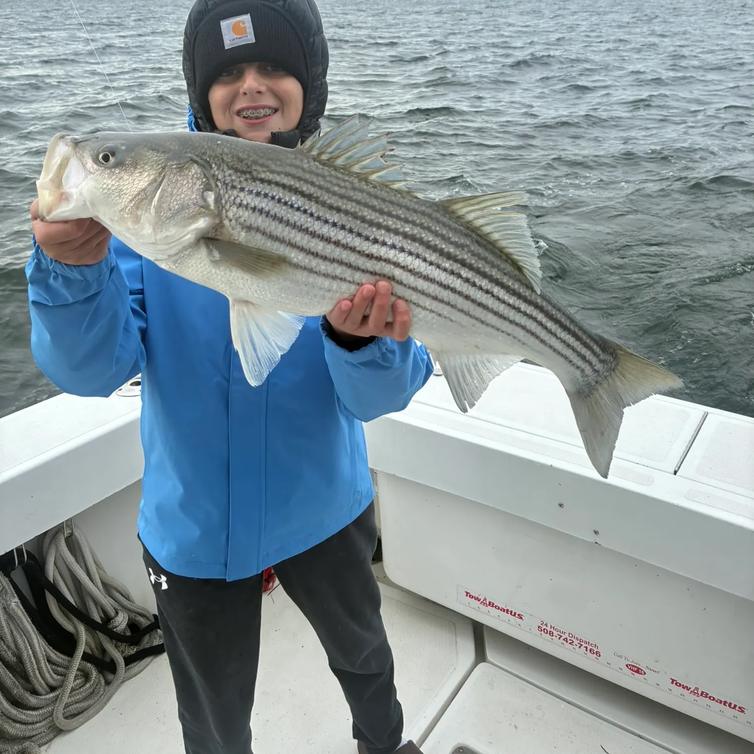 Striped bass caught on Fishbrain