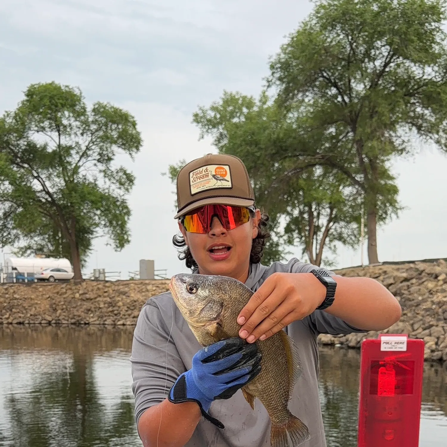 The most recent Freshwater drum catches on Fishbrain