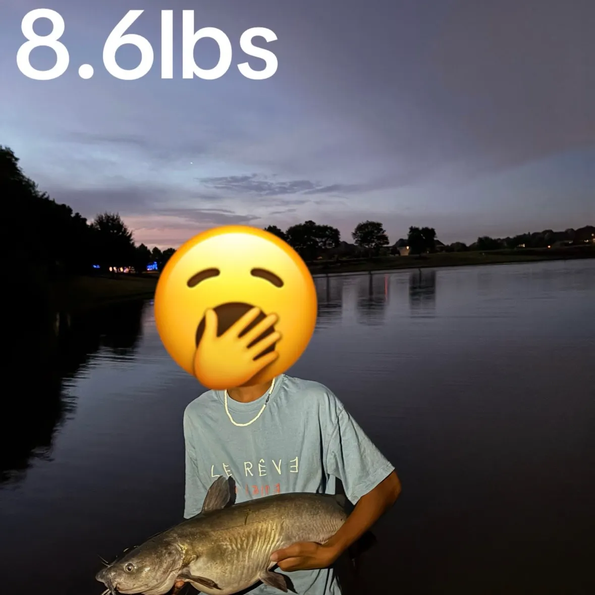 Channel catfish caught on Fishbrain