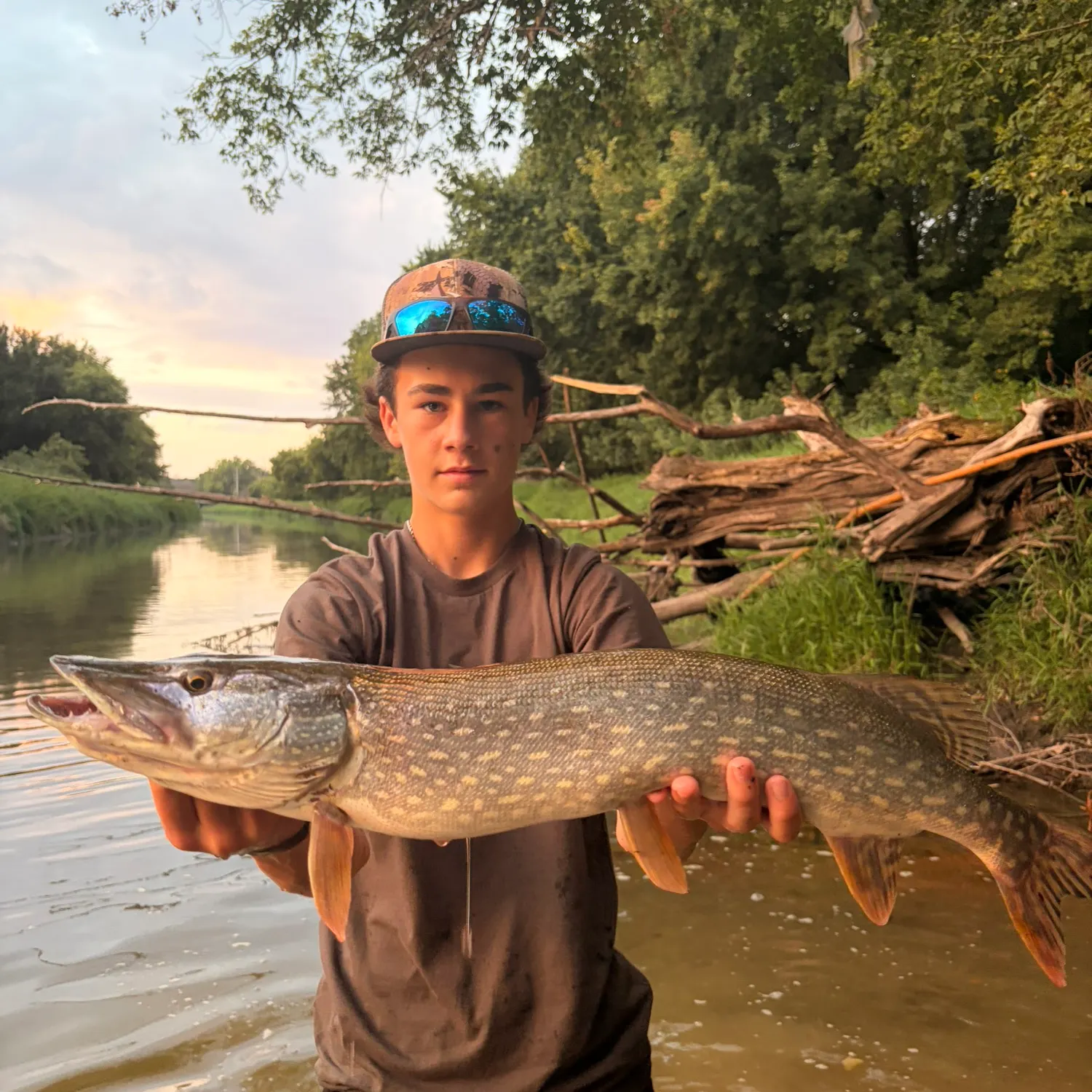 Northern pike caught on Fishbrain