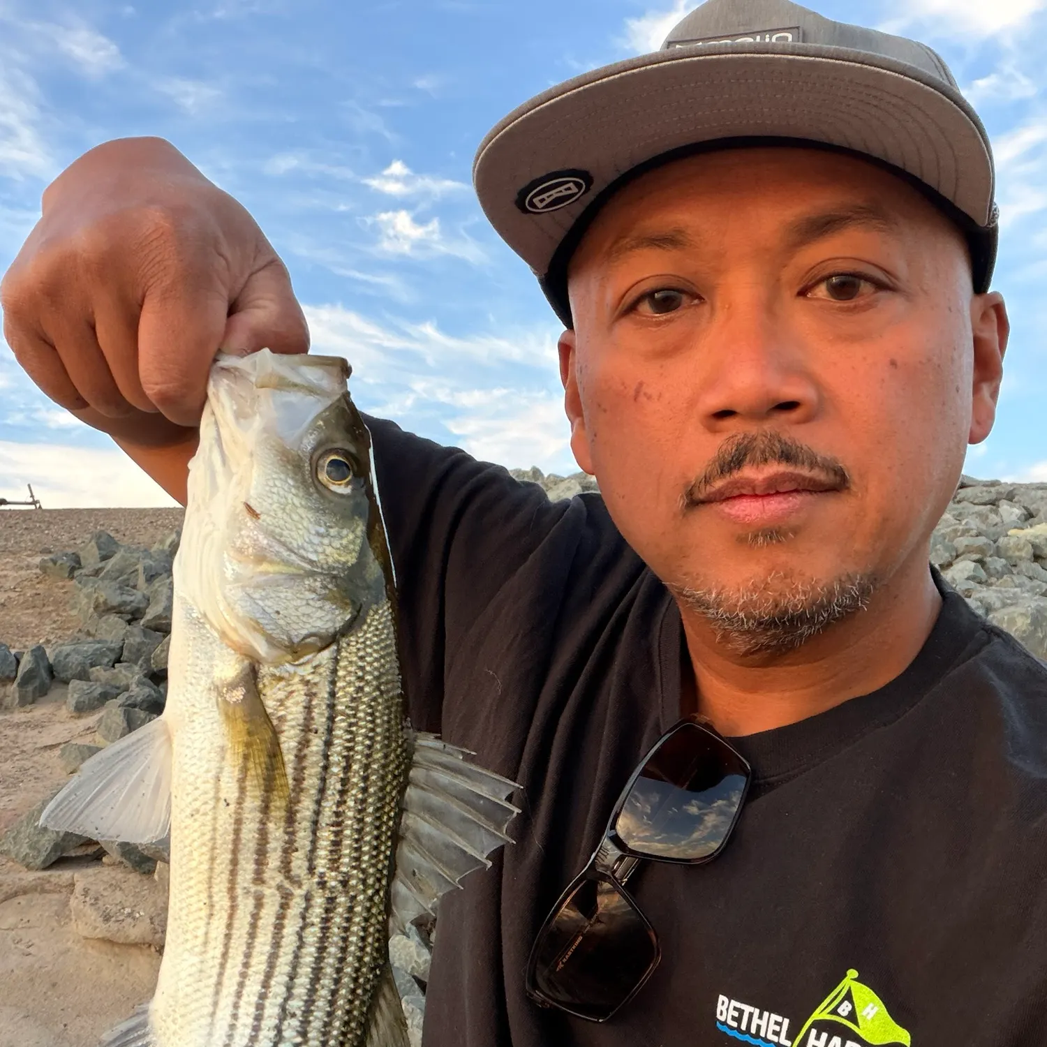 Striped bass caught on Fishbrain