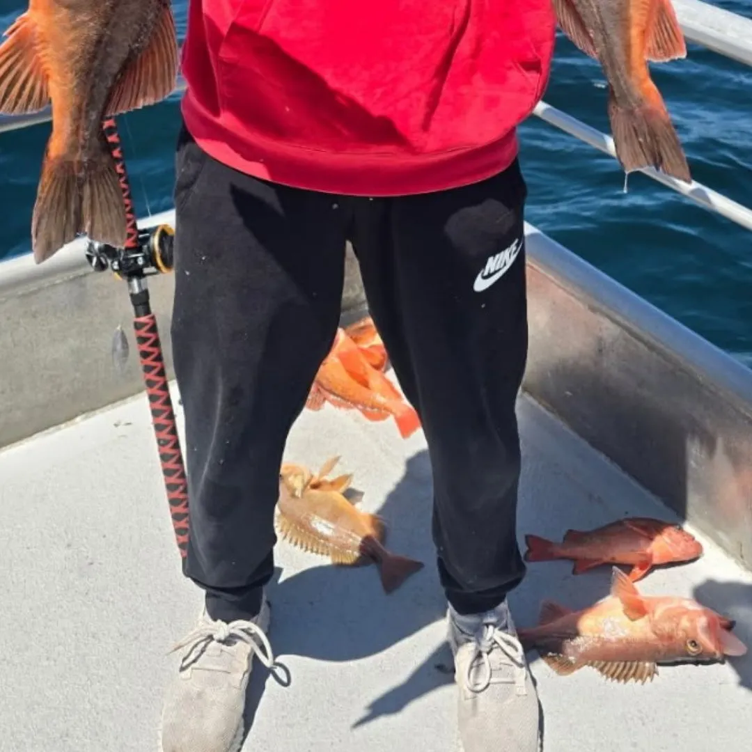 most liked catch image