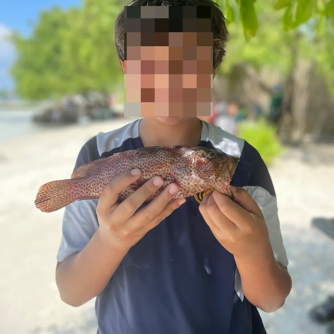 The most recent Leopard coralgrouper catches on Fishbrain