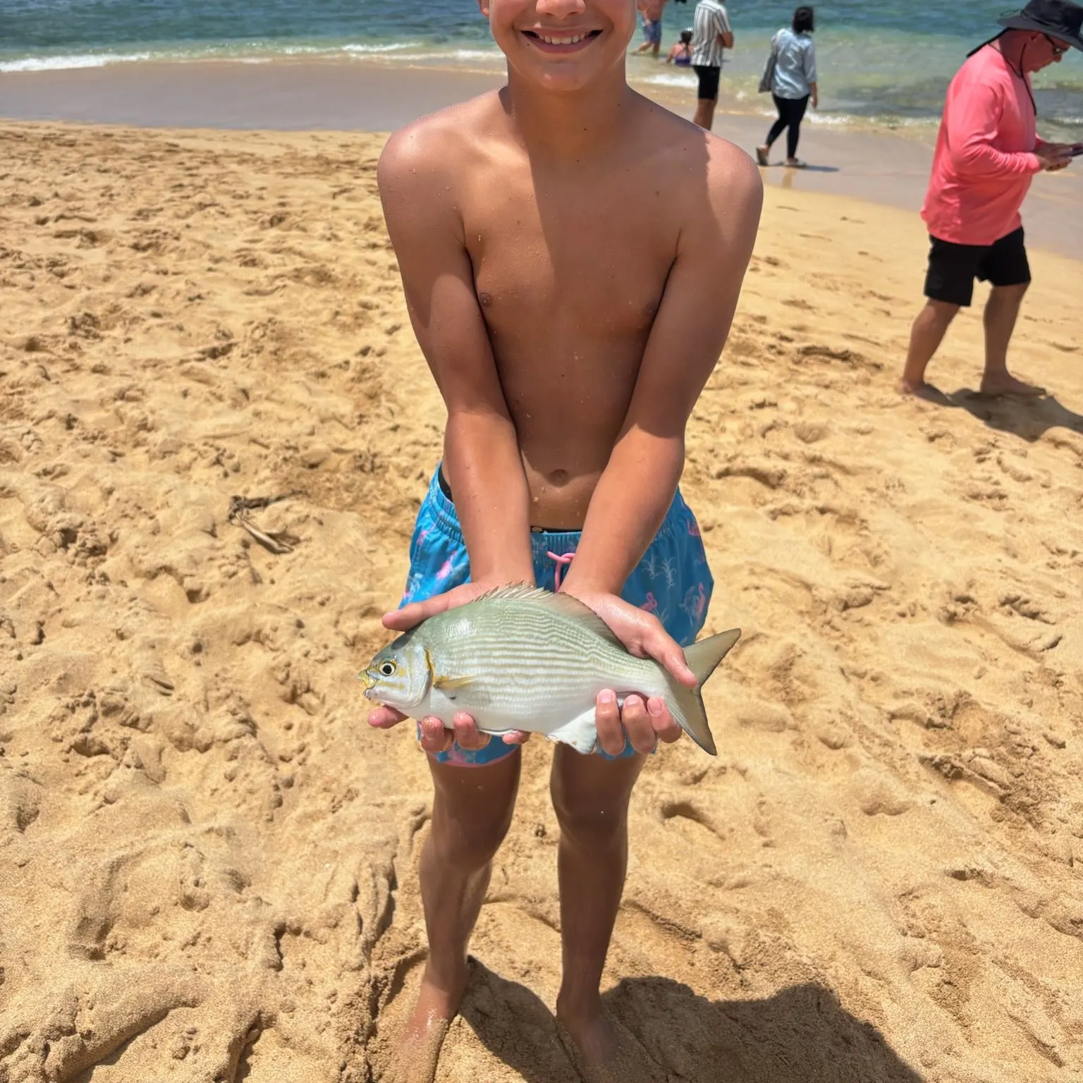 The most recent Brassy chub catches on Fishbrain