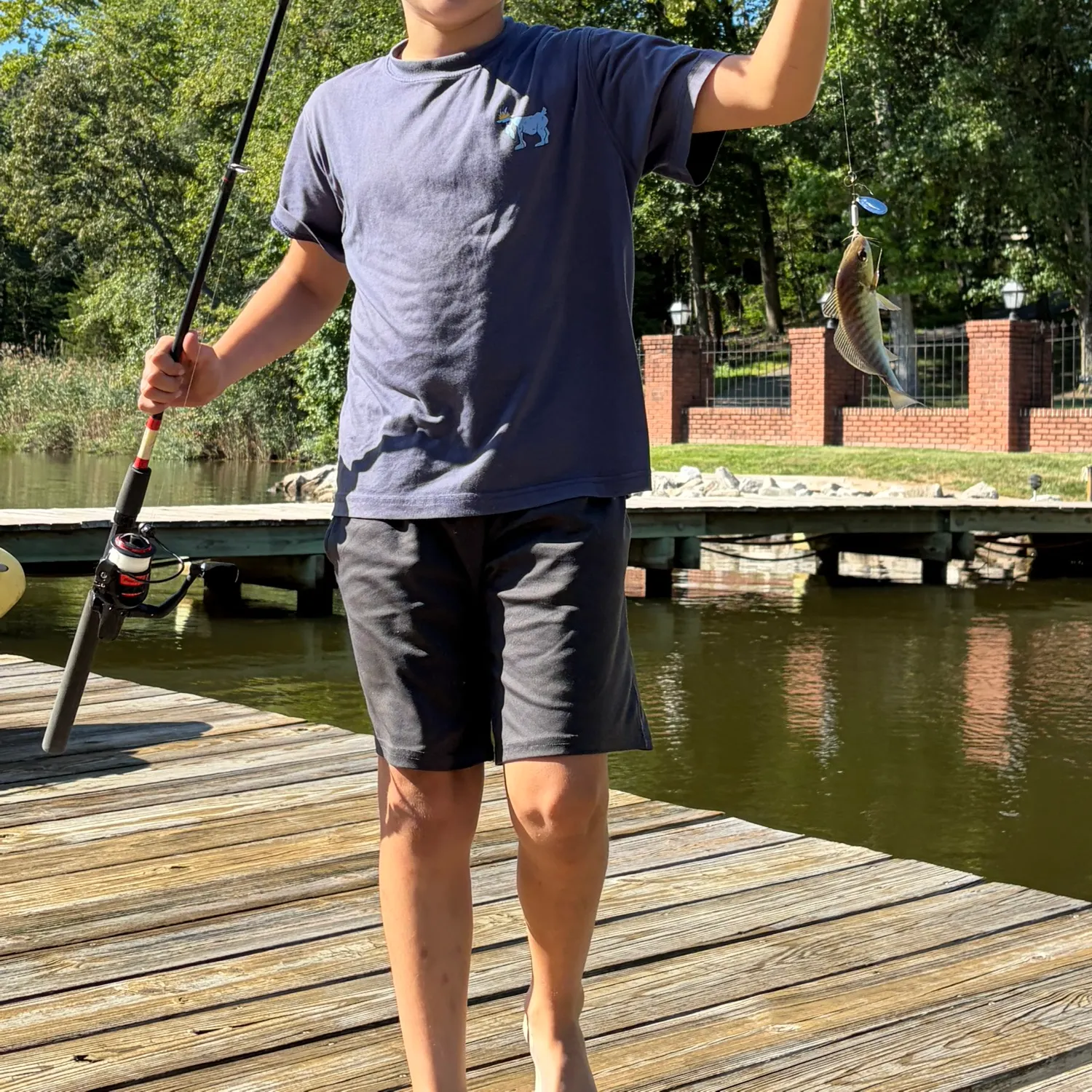 Fish caught on Fishbrain
