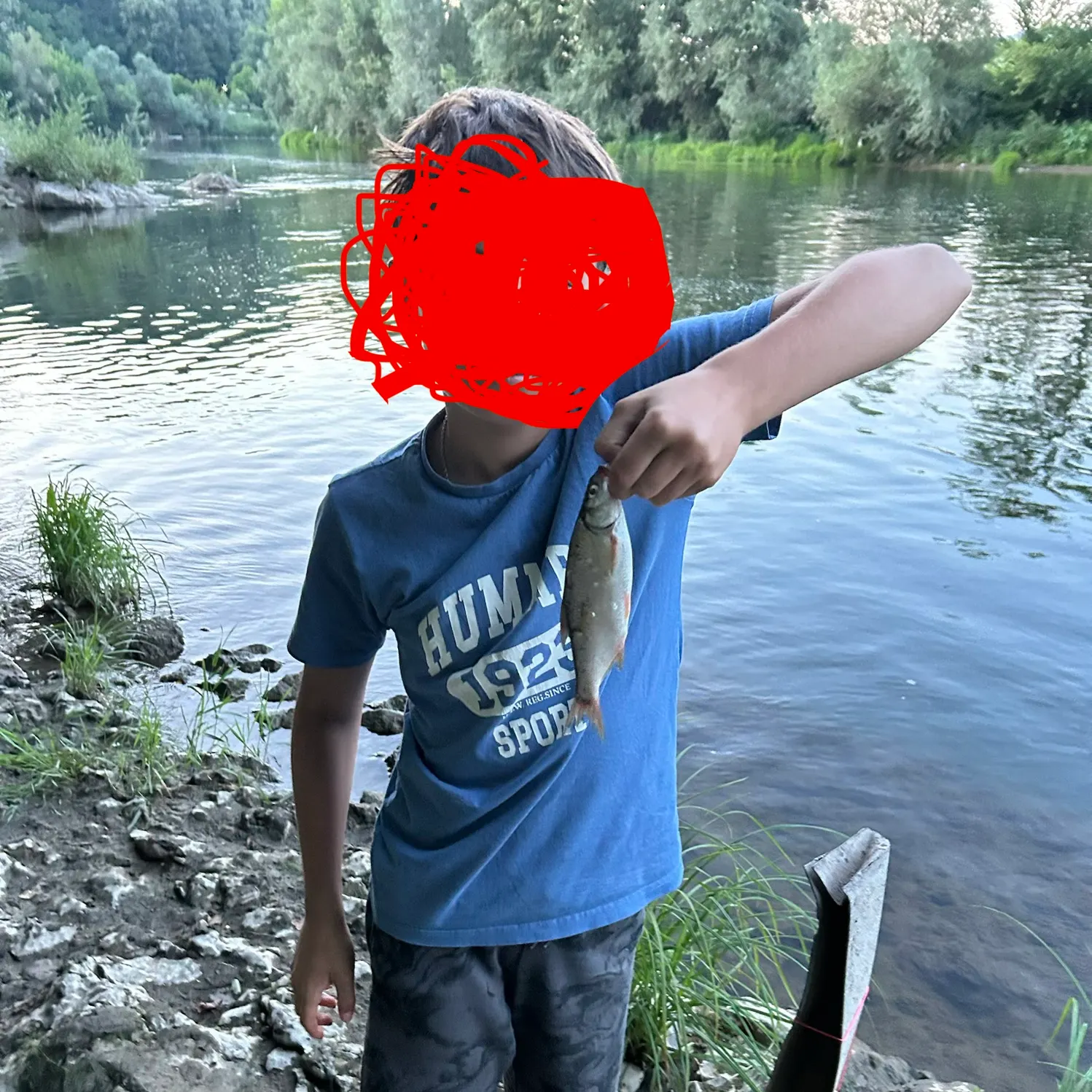 The most recent Common dace catches on Fishbrain