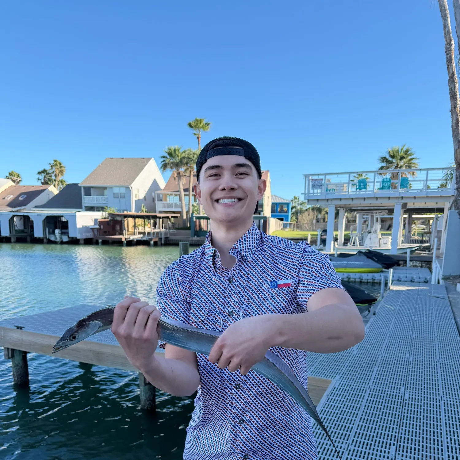 The most recent Atlantic cutlassfish catches on Fishbrain