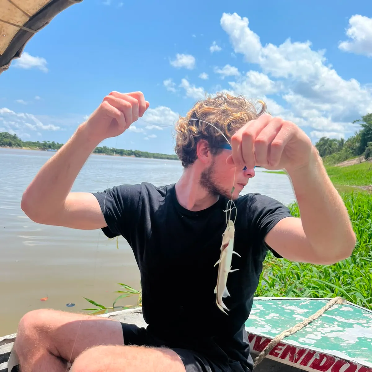 The most recent Bloch's squeaker catfish catches on Fishbrain