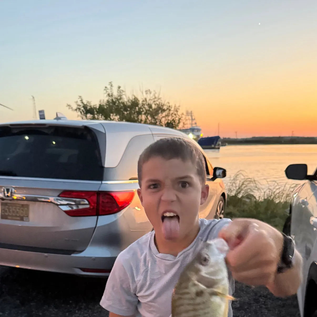 Spot croaker caught on Fishbrain