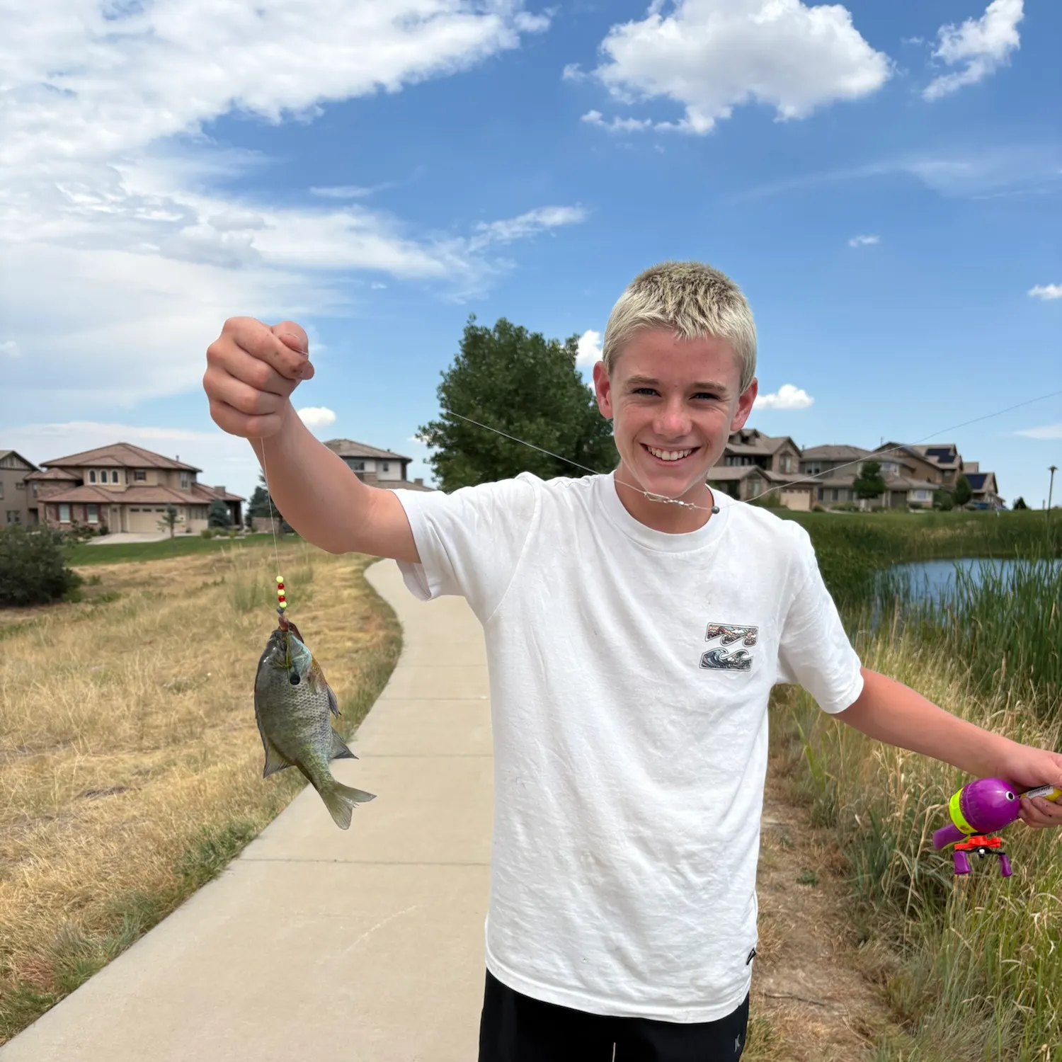 recently logged catches