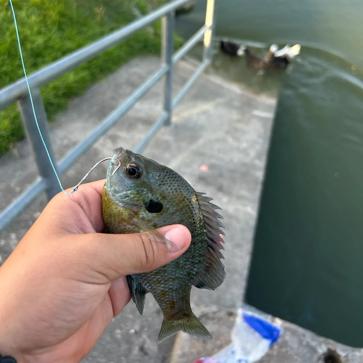 catch