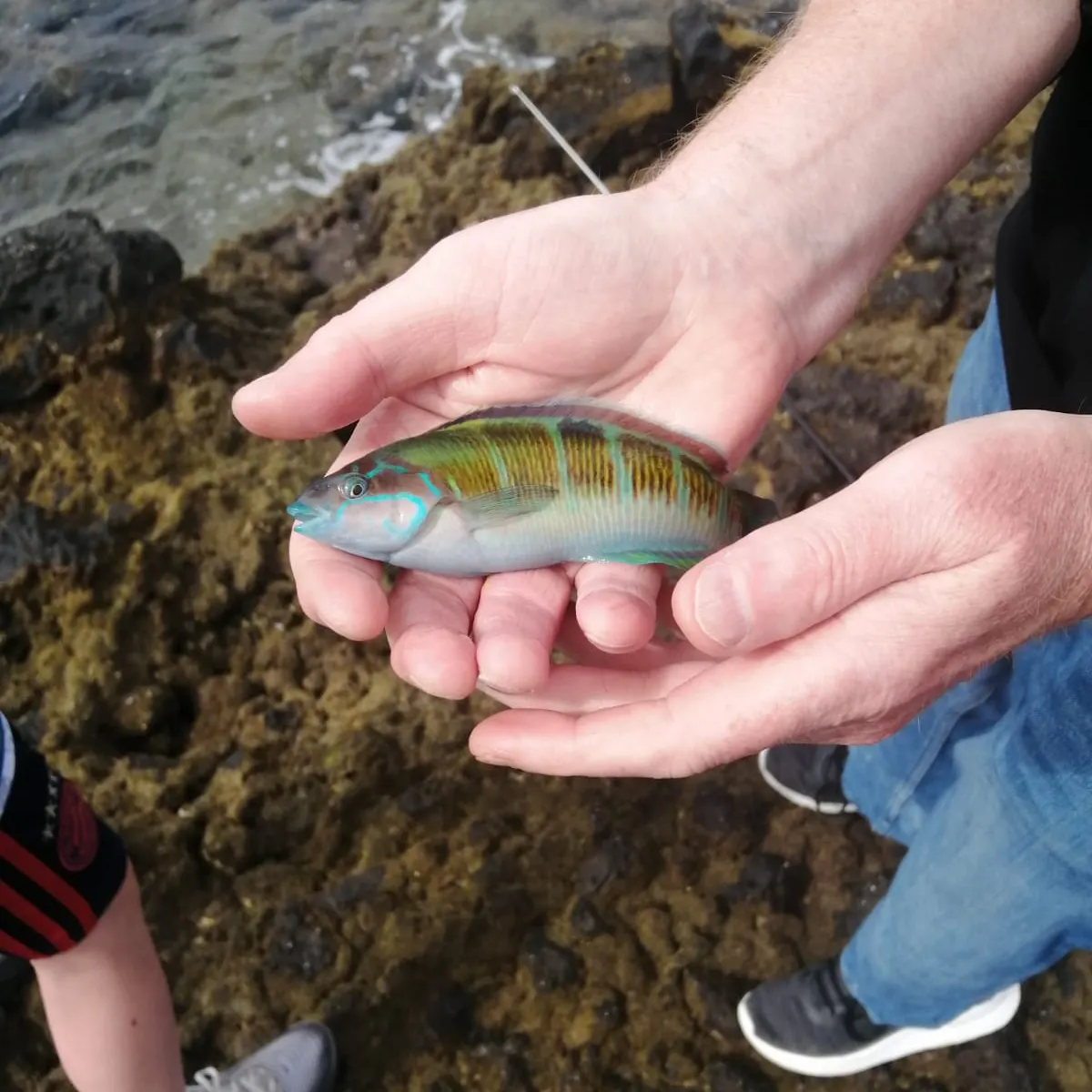 most liked catch image